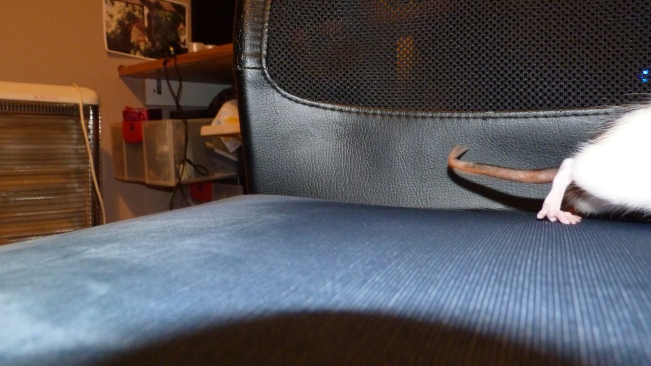 P1010583.JPG