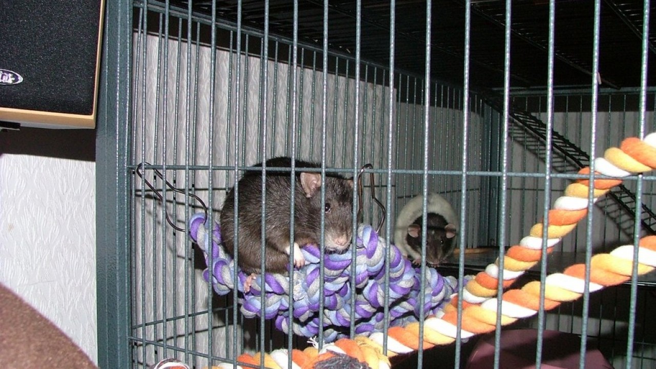 DSCF5572.JPG