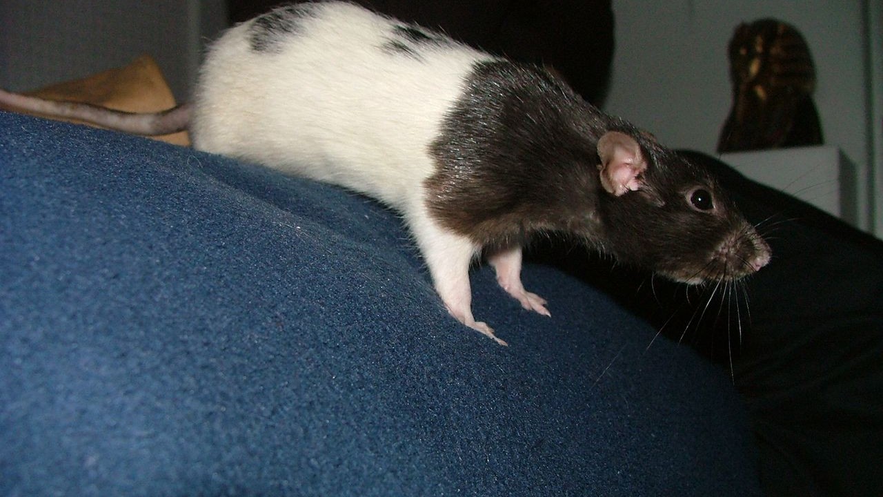 DSCF3954.JPG