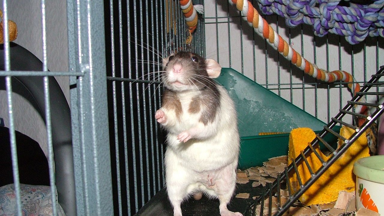 DSCF5705.JPG