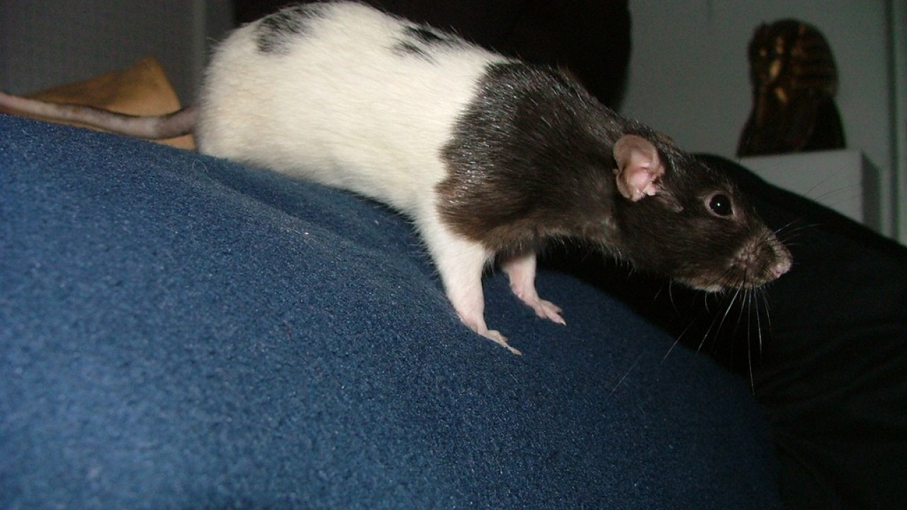 DSCF3954.JPG