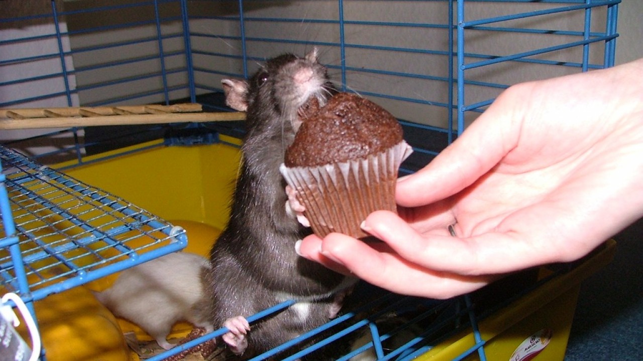 DSCF4261.JPG