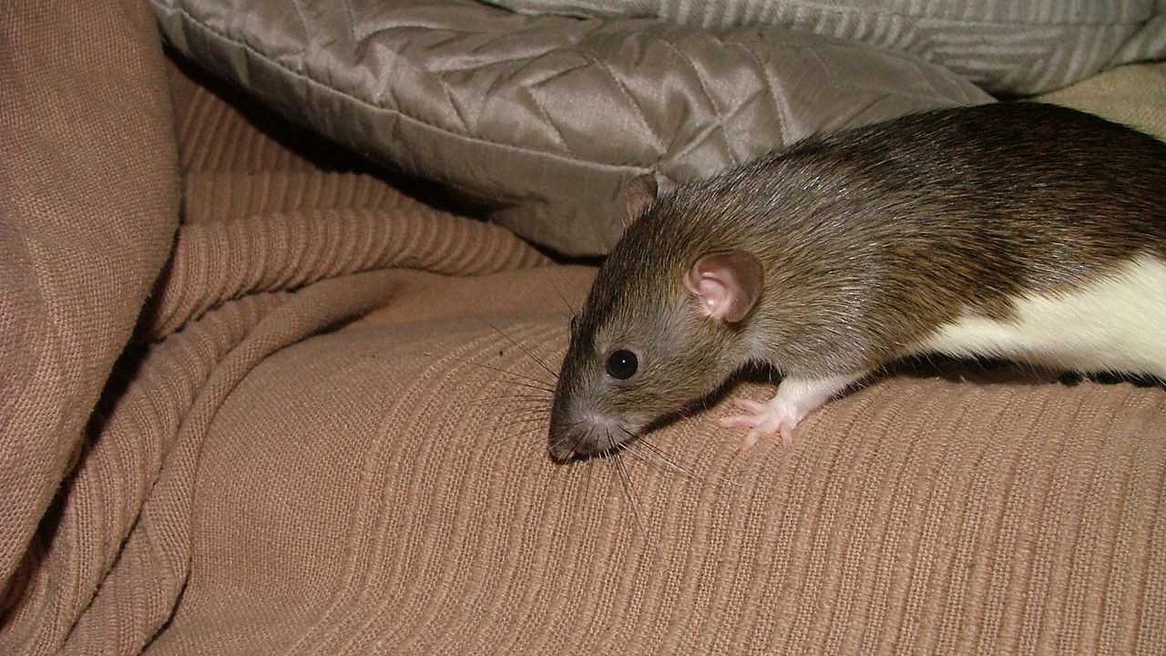 DSCF6773.JPG