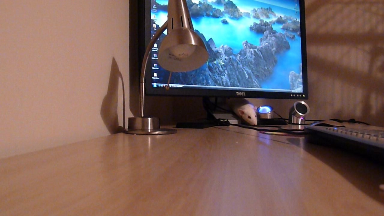 p1000885.jpg