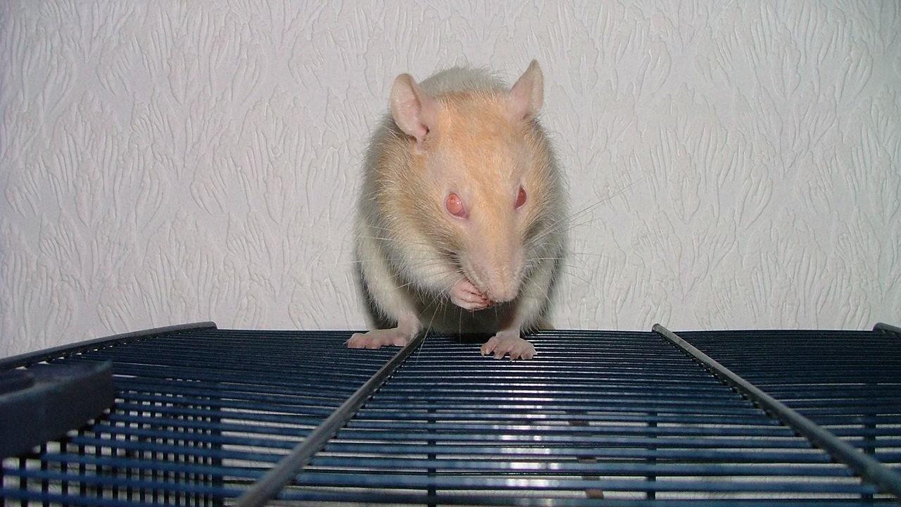 DSCF3679.JPG