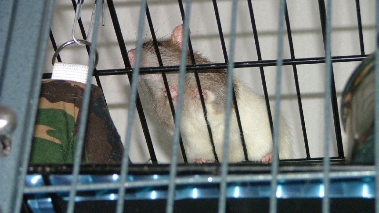 dscf6697.jpg
