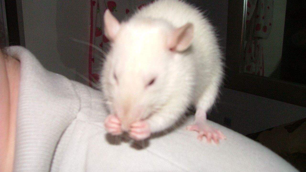 DSCF3872.JPG