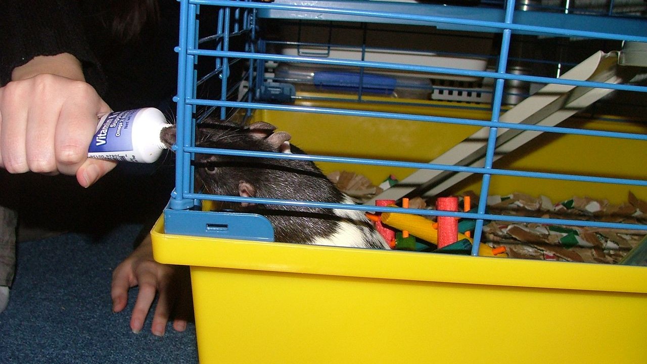 DSCF3757.JPG