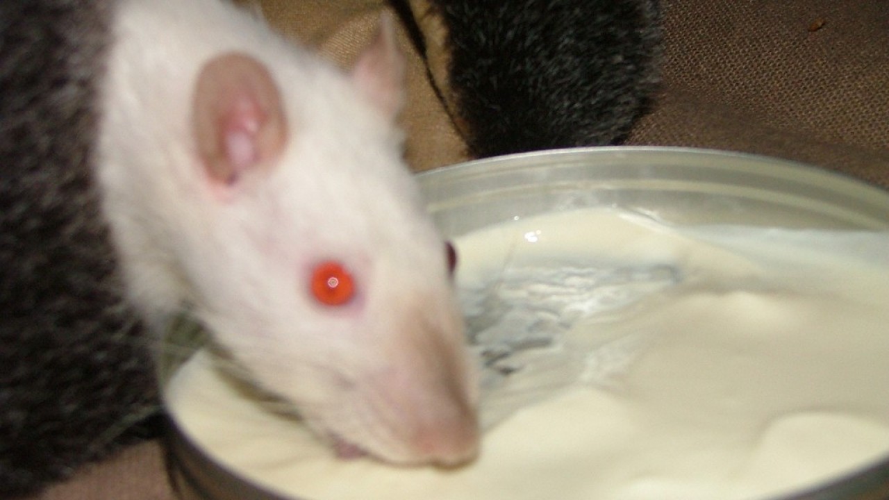 DSCF4744.JPG