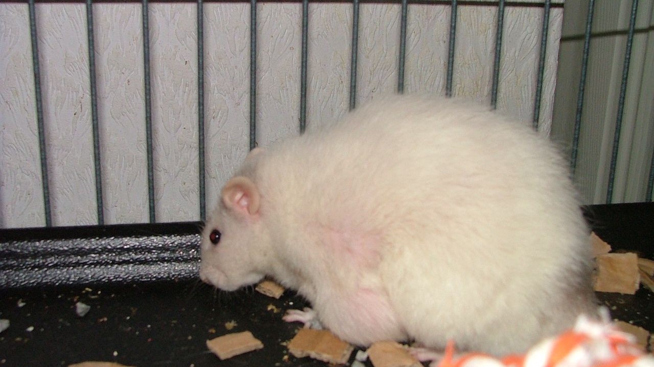 DSCF5665.JPG