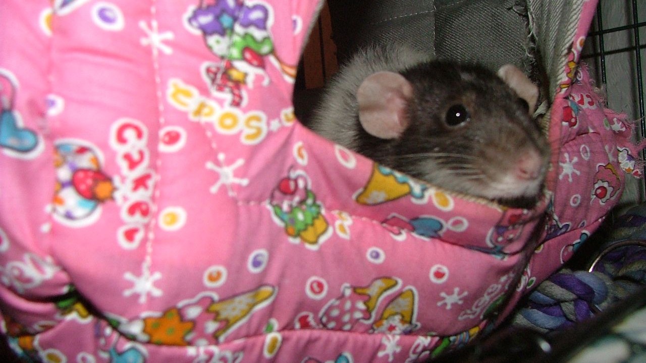 DSCF5700.JPG