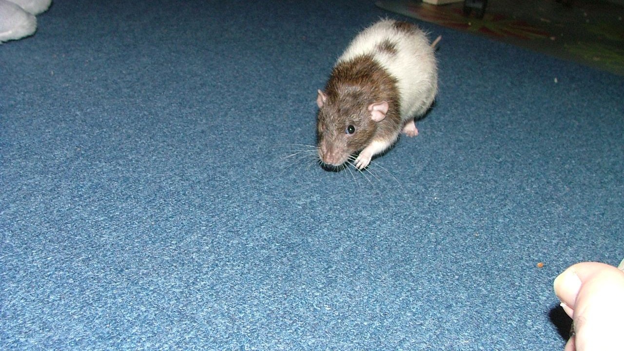 DSCF6667.JPG
