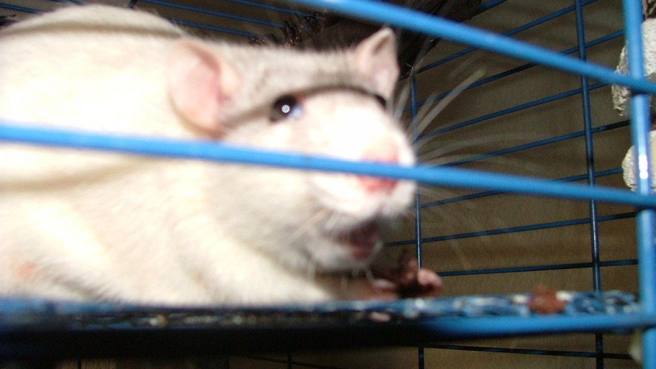 DSCF4268.JPG
