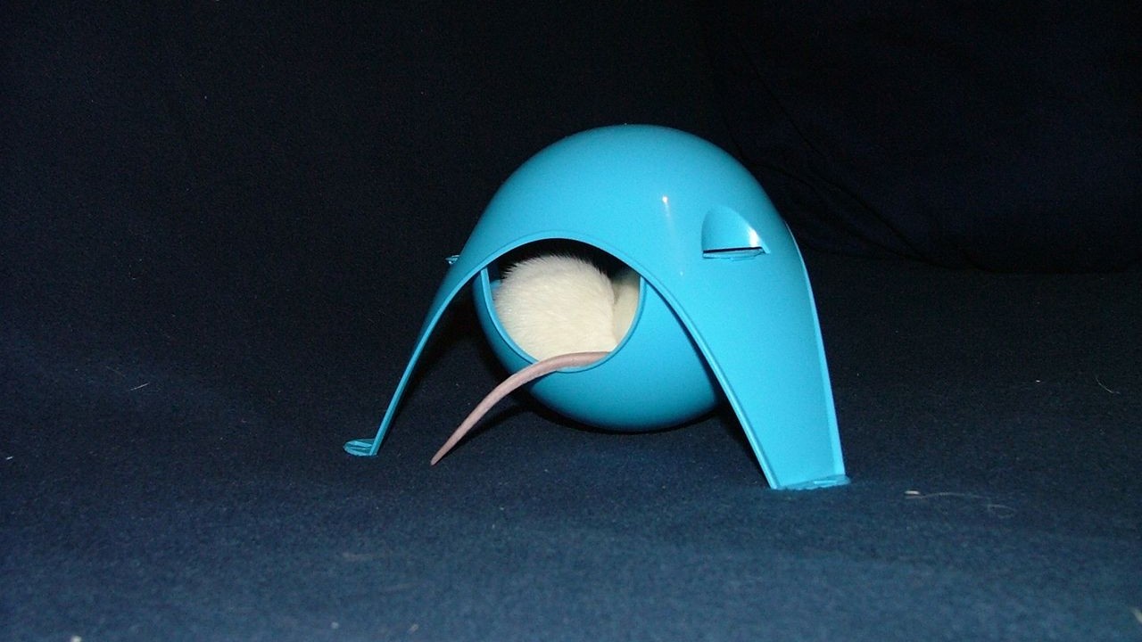 DSCF3806.JPG