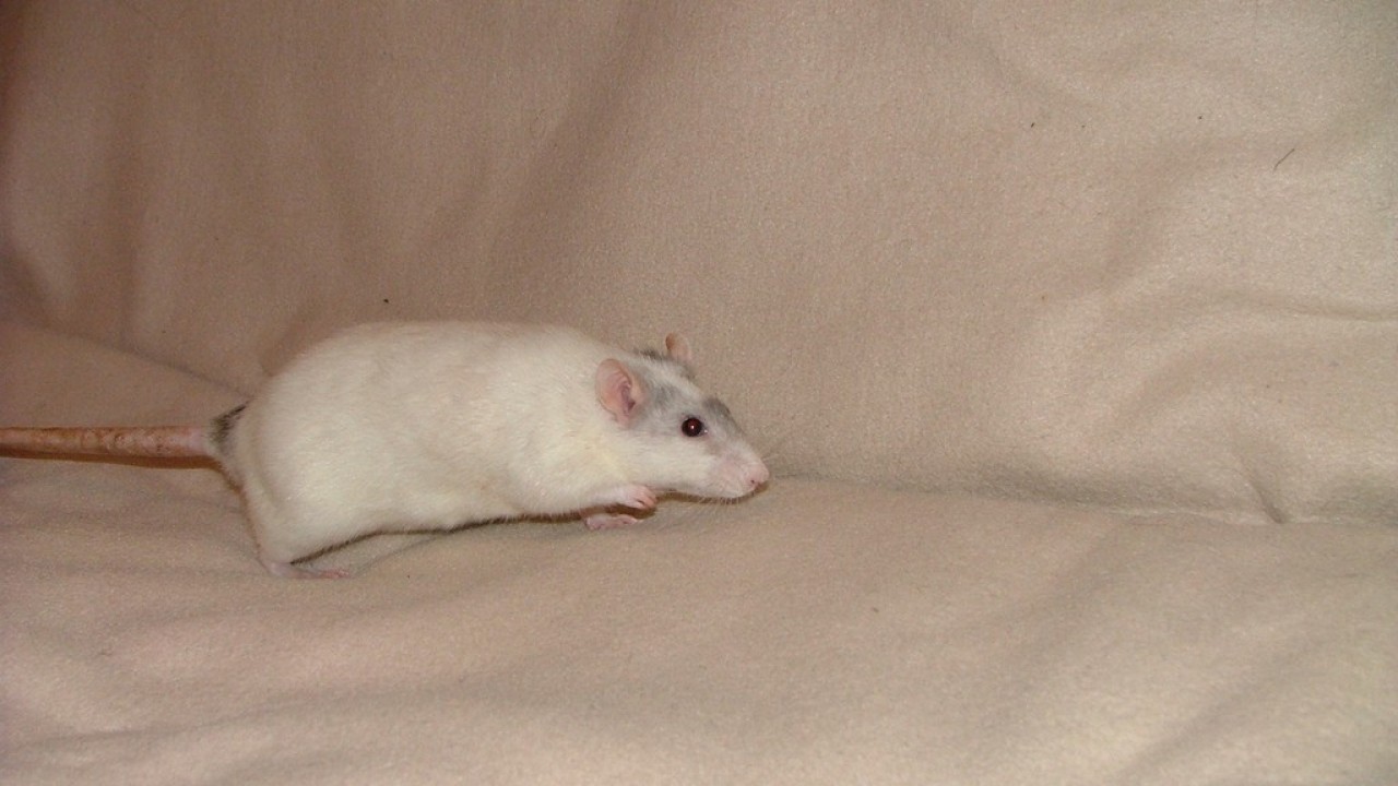 DSCF4288.JPG