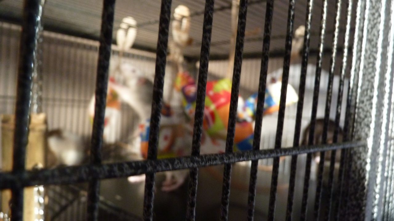 P1060037.JPG