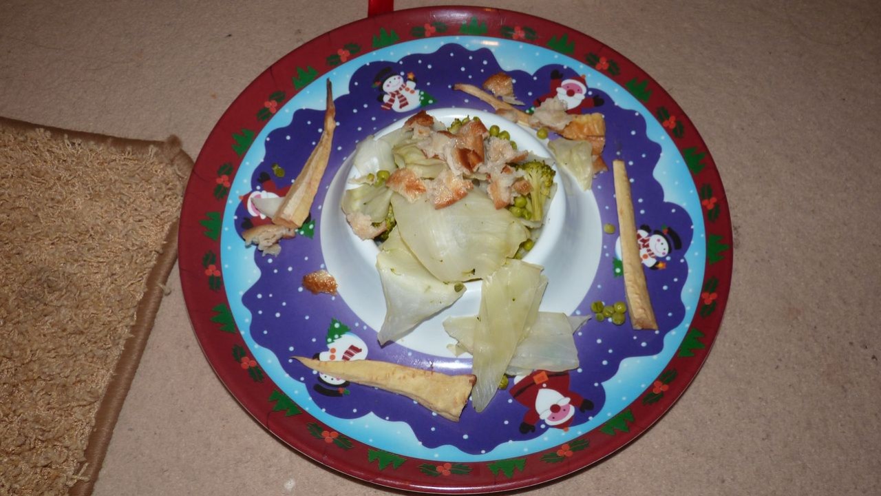 P1060045.JPG