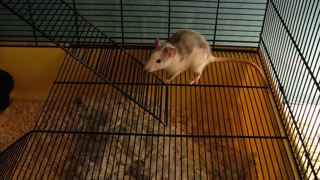 DSCF1529.JPG