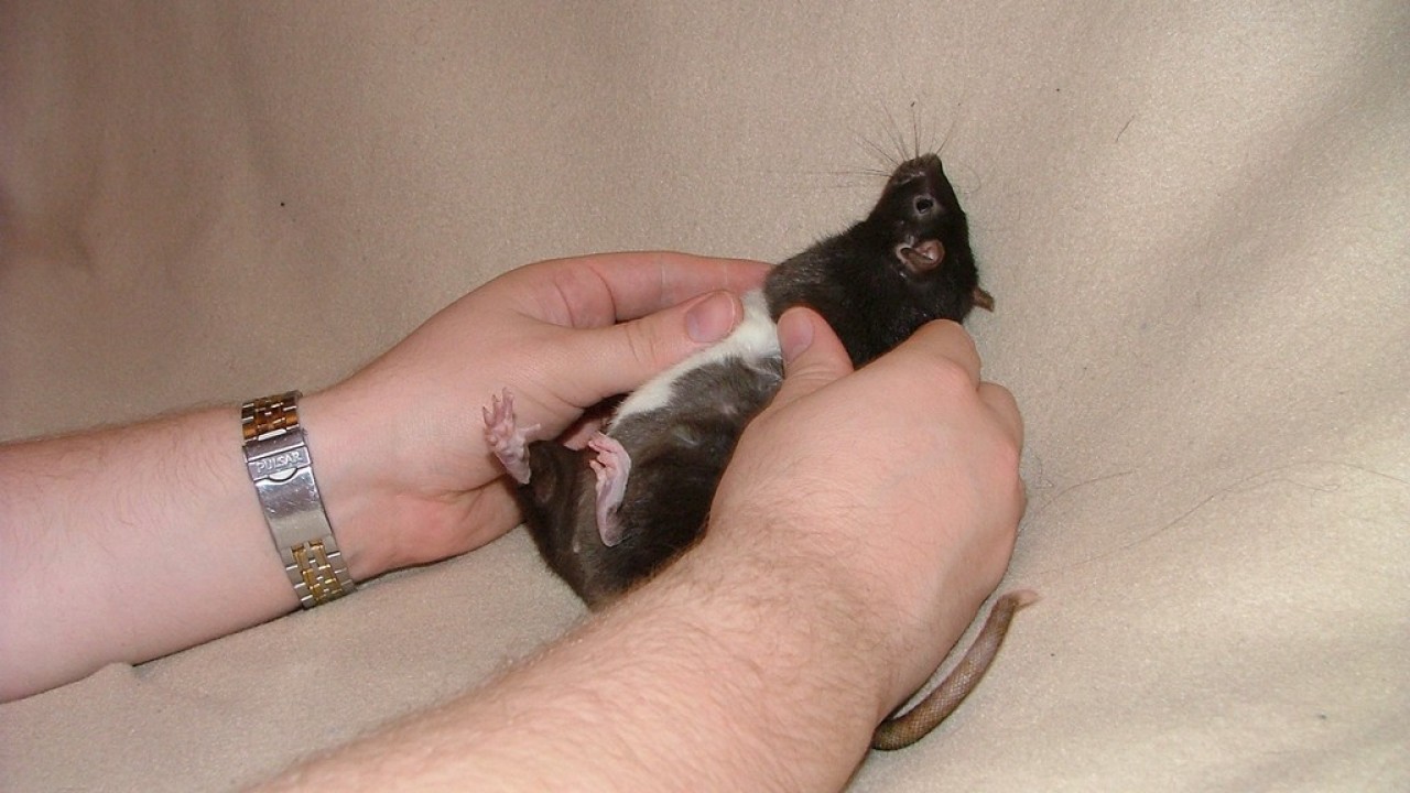 DSCF4294.JPG