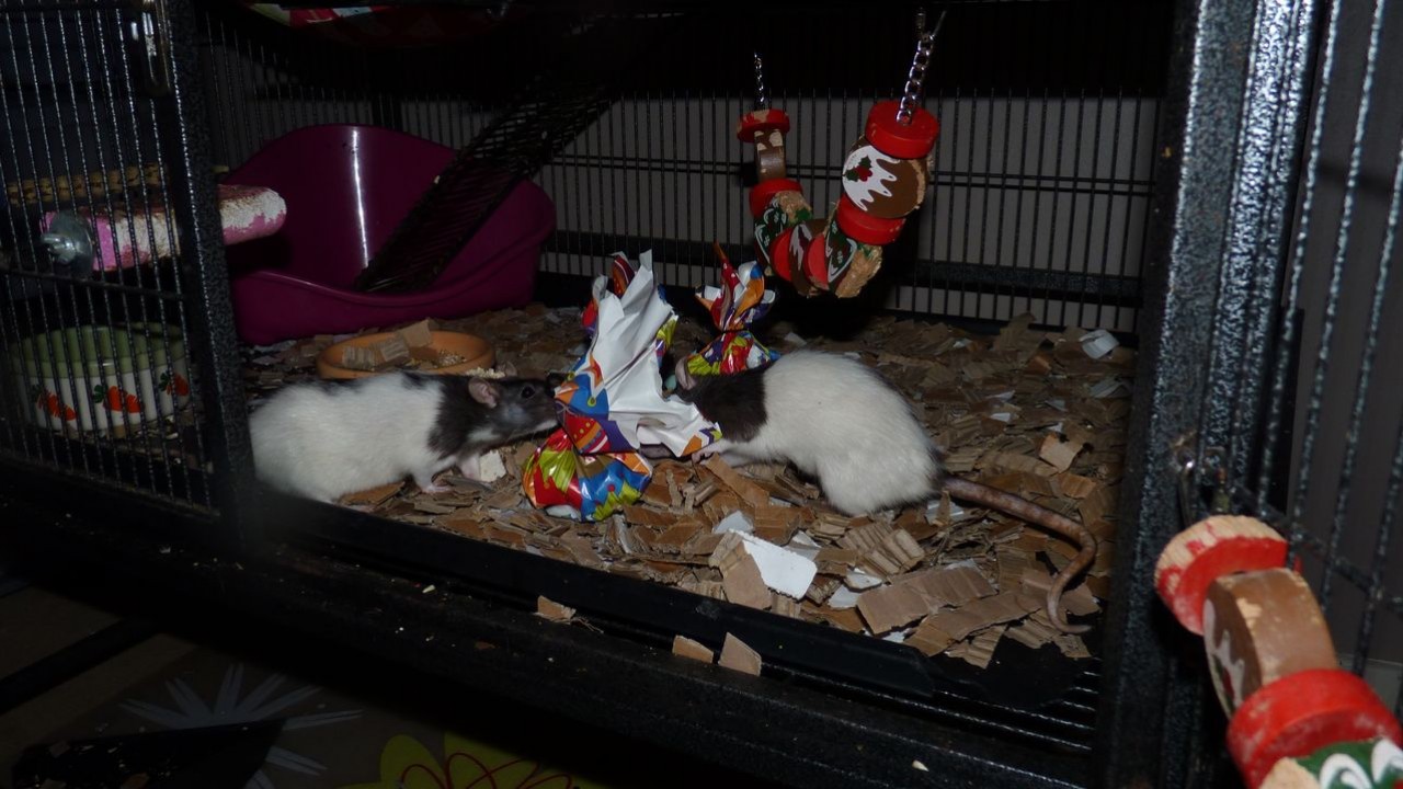 P1070202.JPG