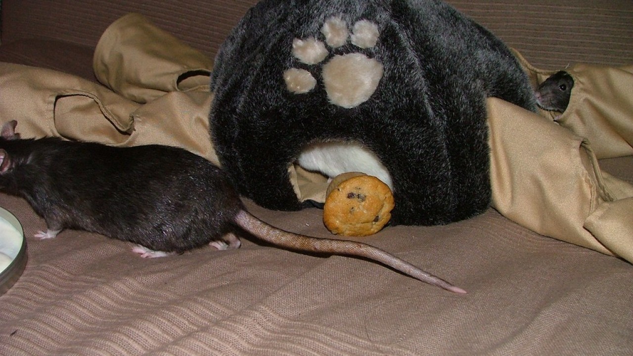 DSCF4728.JPG