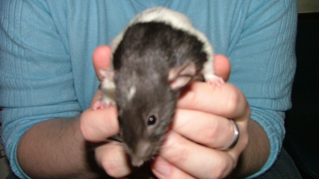 DSCF4039.JPG