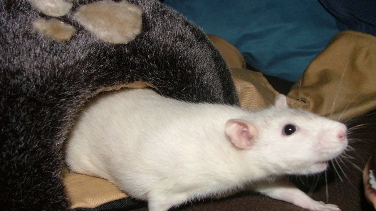 DSCF5538.JPG