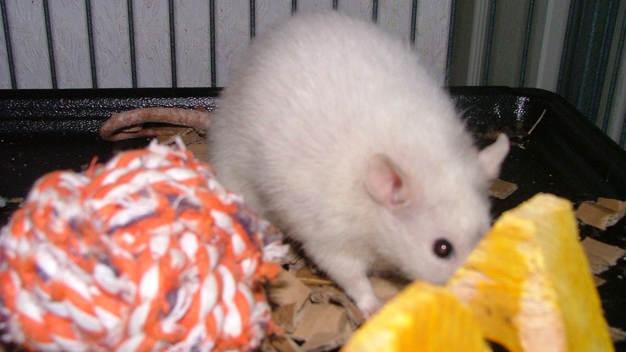 DSCF5664.JPG