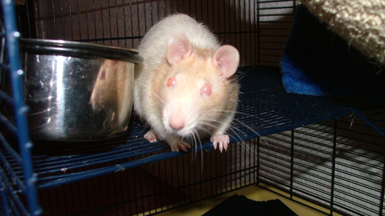 dscf3656.jpg