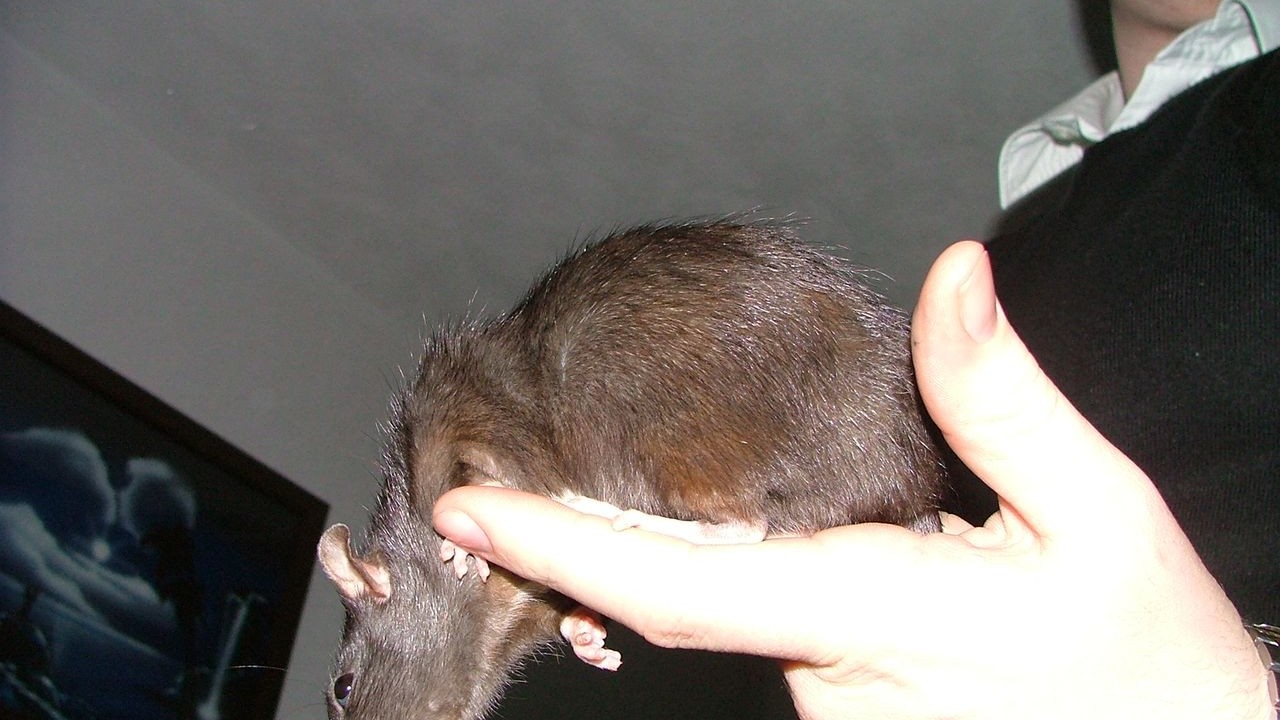 DSCF3894.JPG
