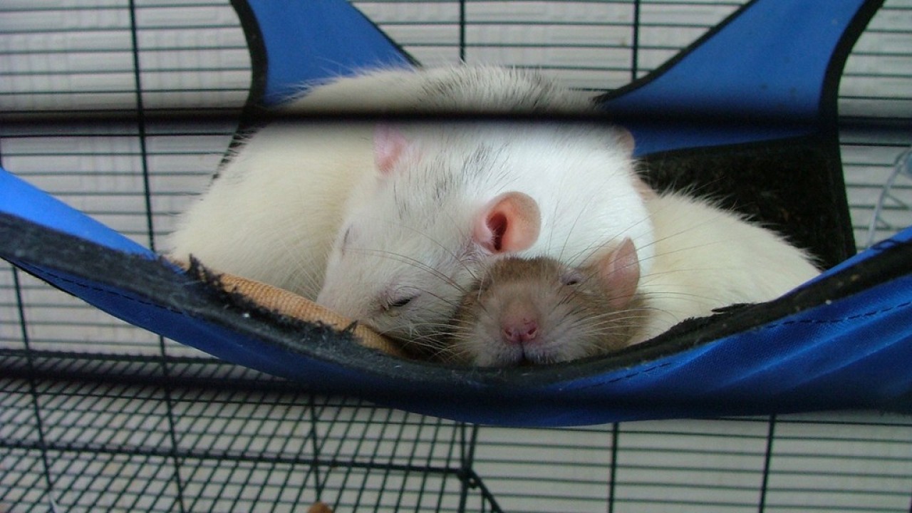DSCF2628.JPG