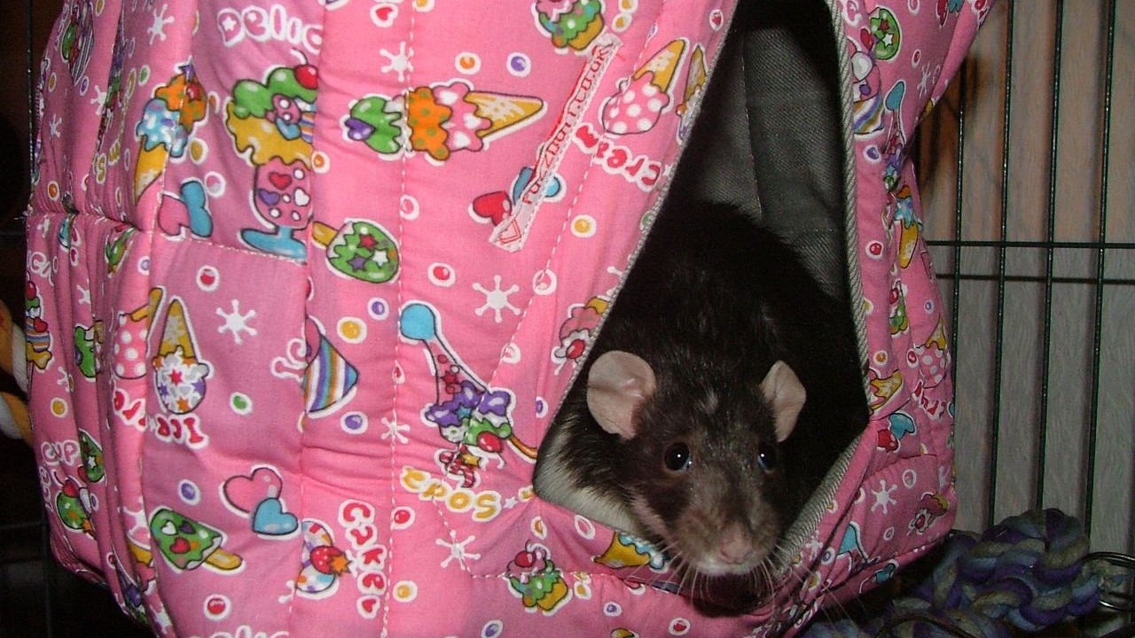 DSCF5655.JPG