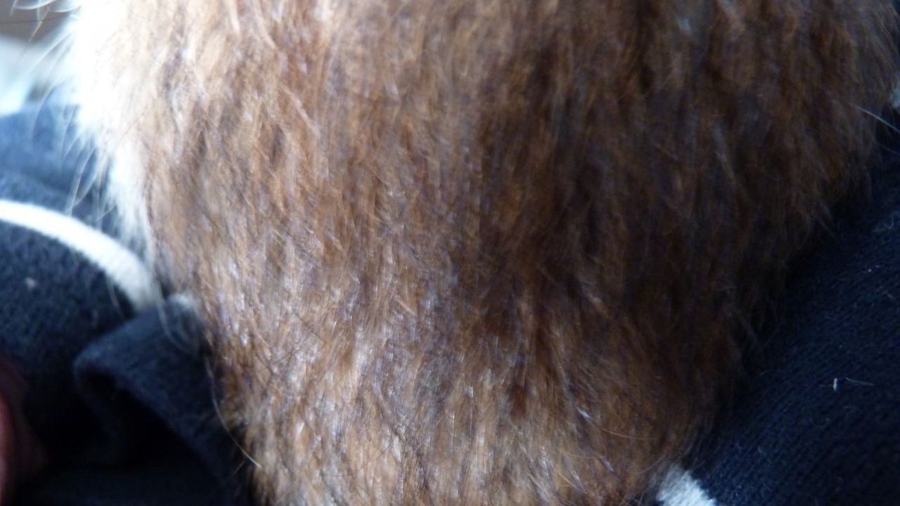 P1020458.JPG