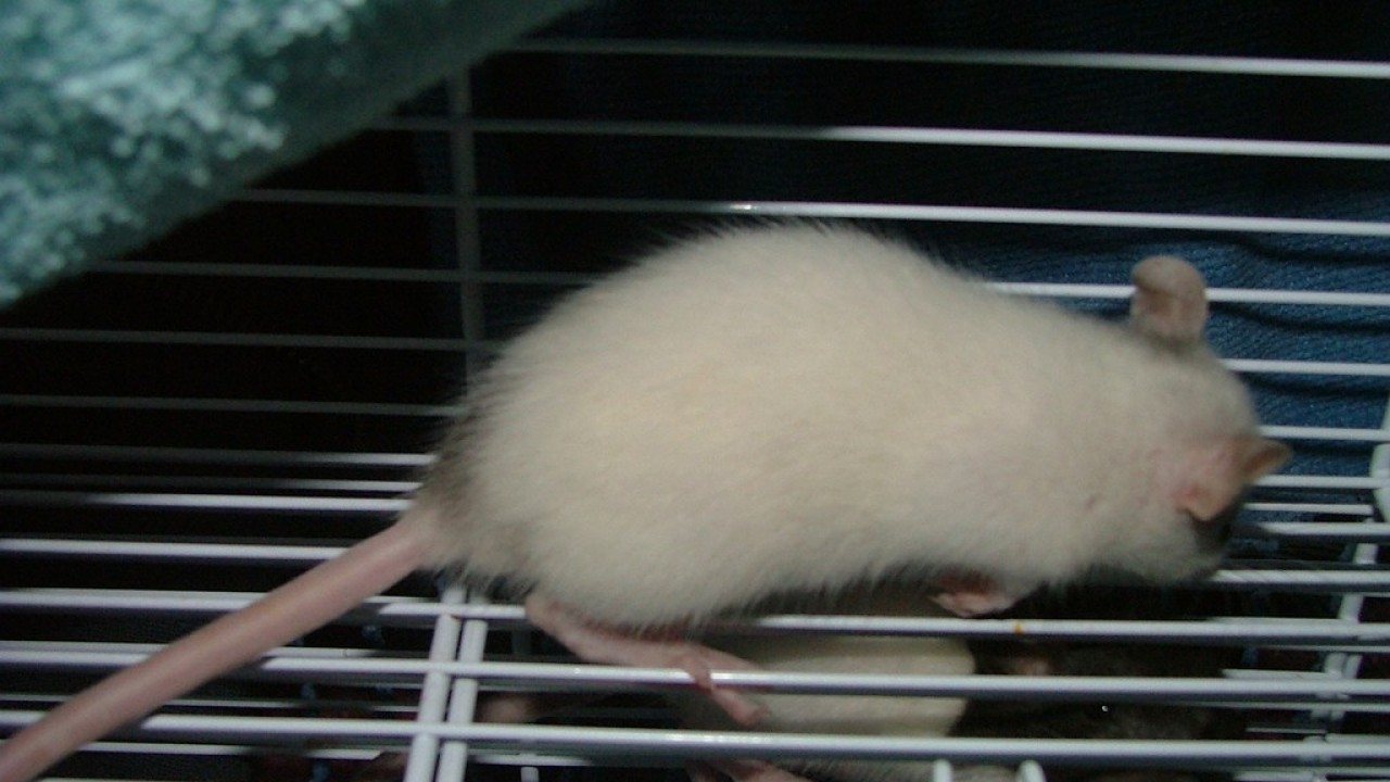 dscf3670.jpg