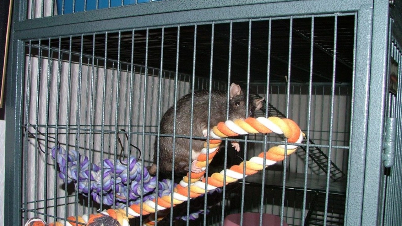 DSCF5573.JPG