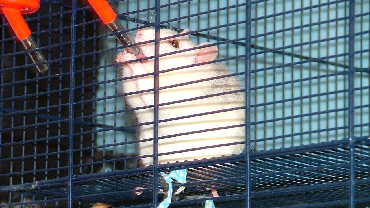 DSCF1838.JPG