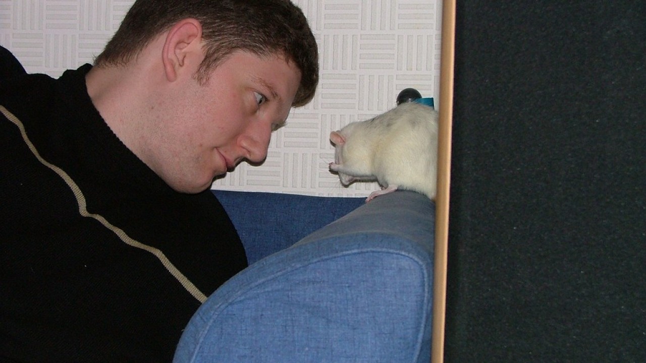 DSCF2909.JPG