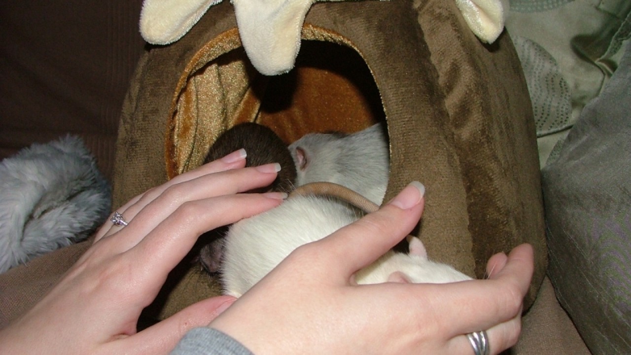 dscf6708.jpg
