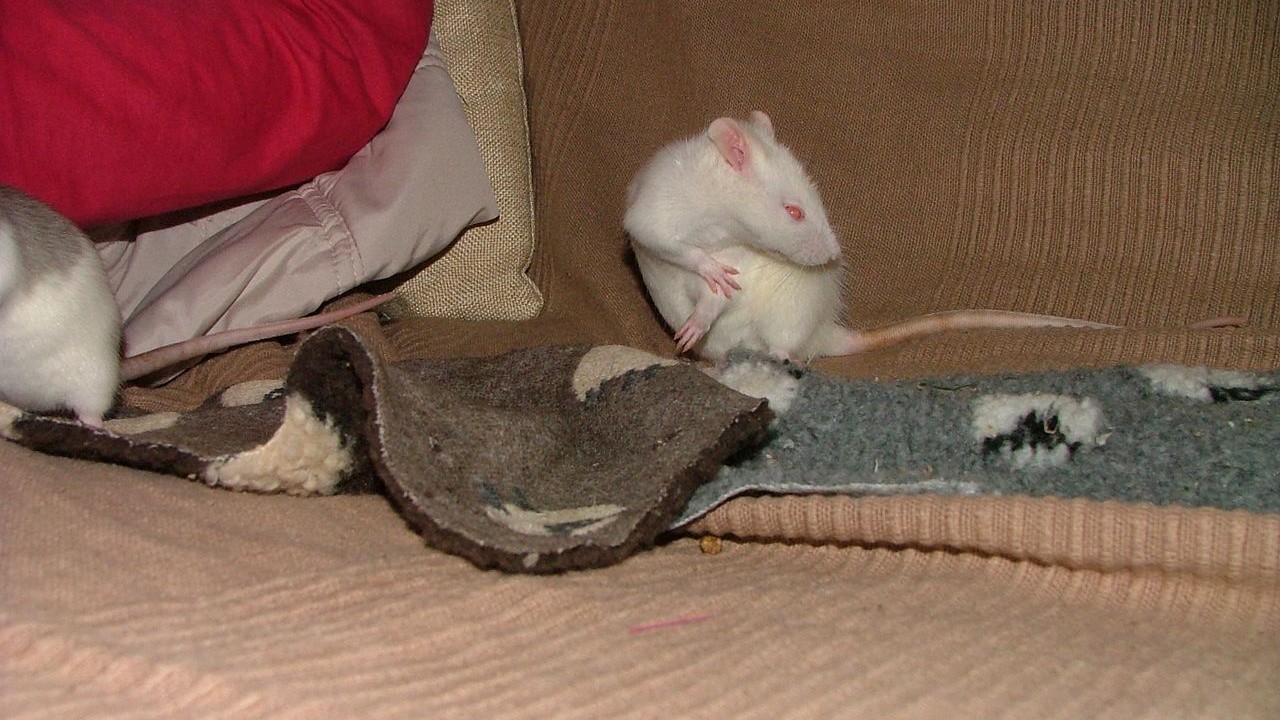 DSCF6648.JPG