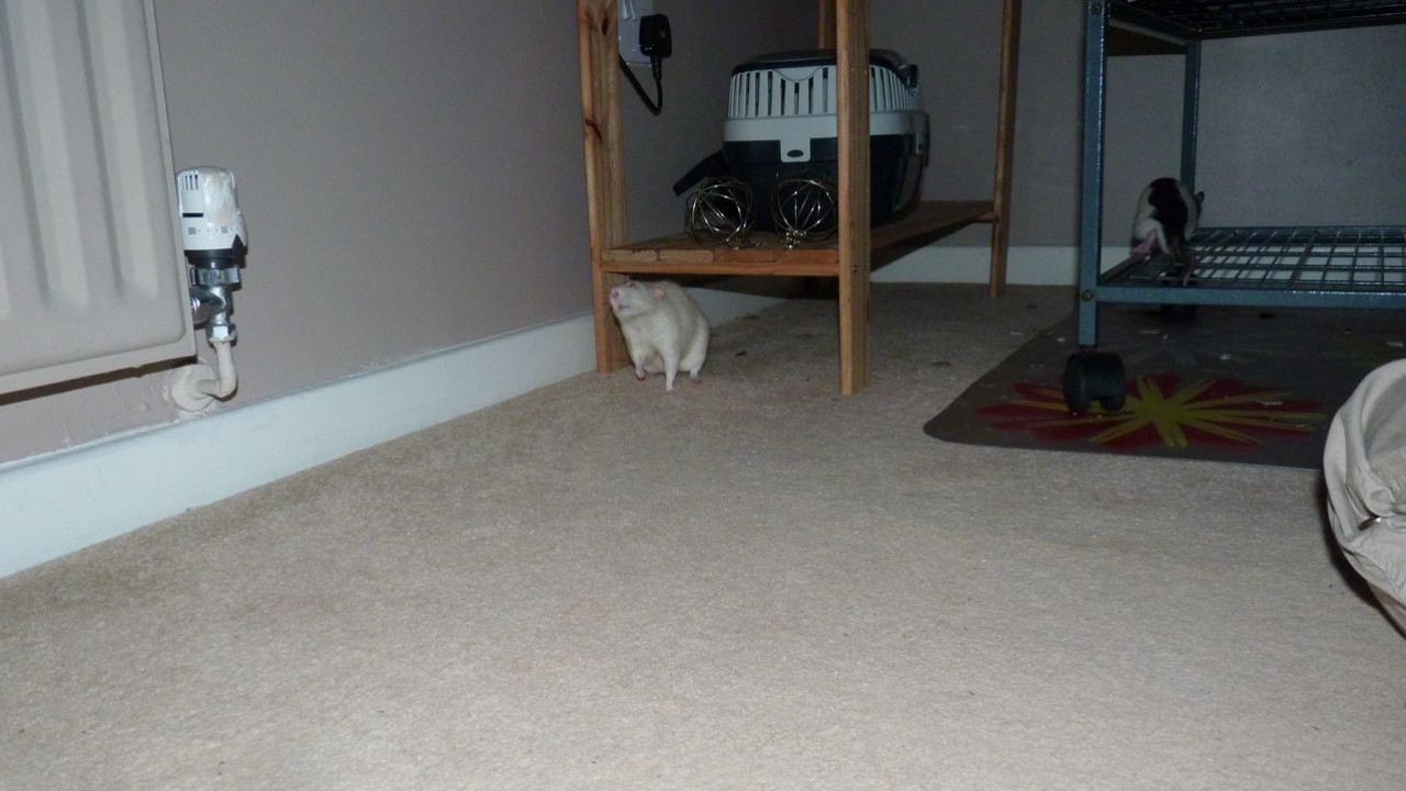 P1010645.JPG
