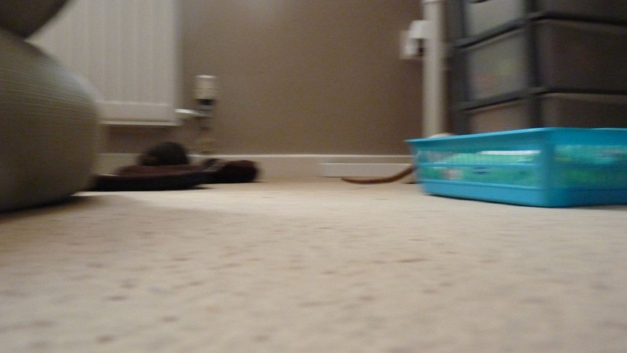 P1060864.JPG