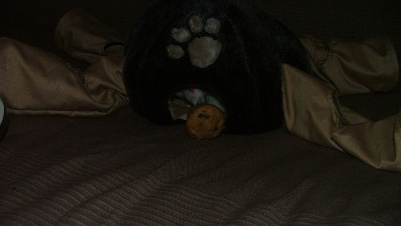 DSCF4726.JPG