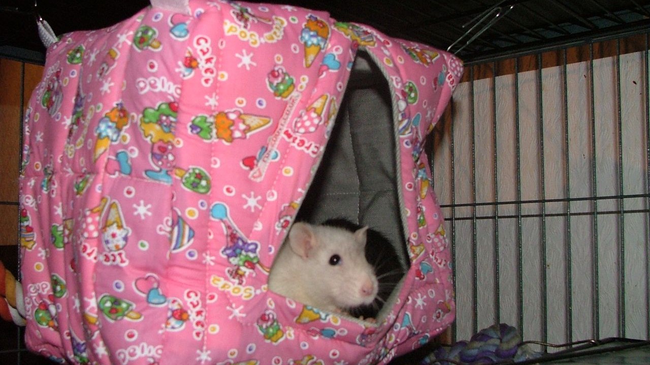 DSCF5652.JPG
