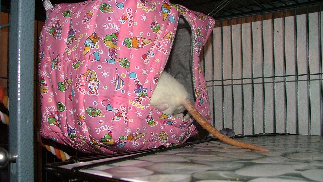 DSCF5651.JPG