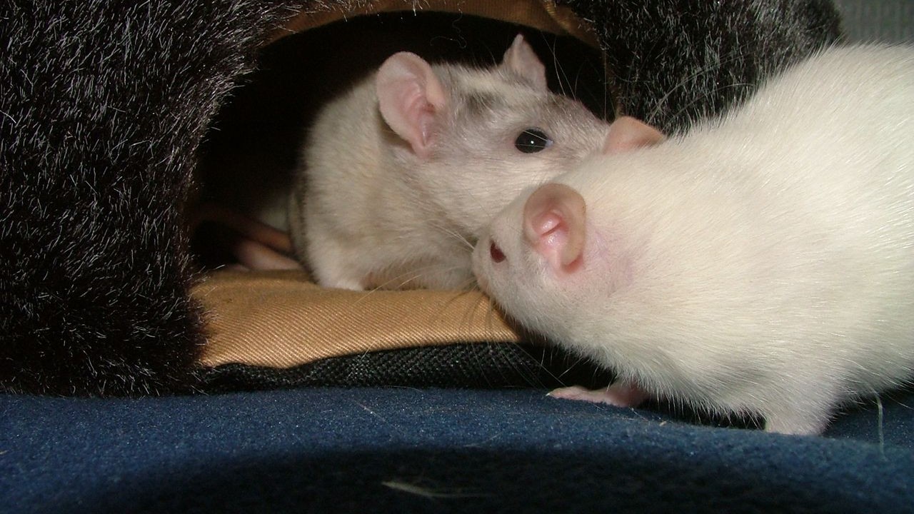 DSCF3938.JPG