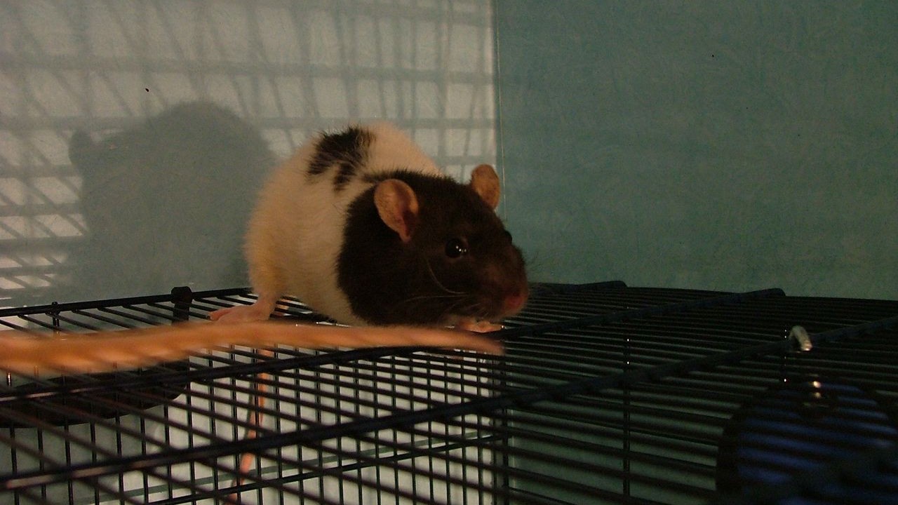 DSCF1539.JPG