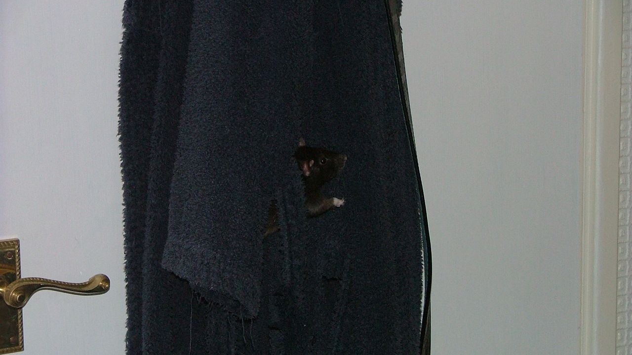 DSCF3956.JPG