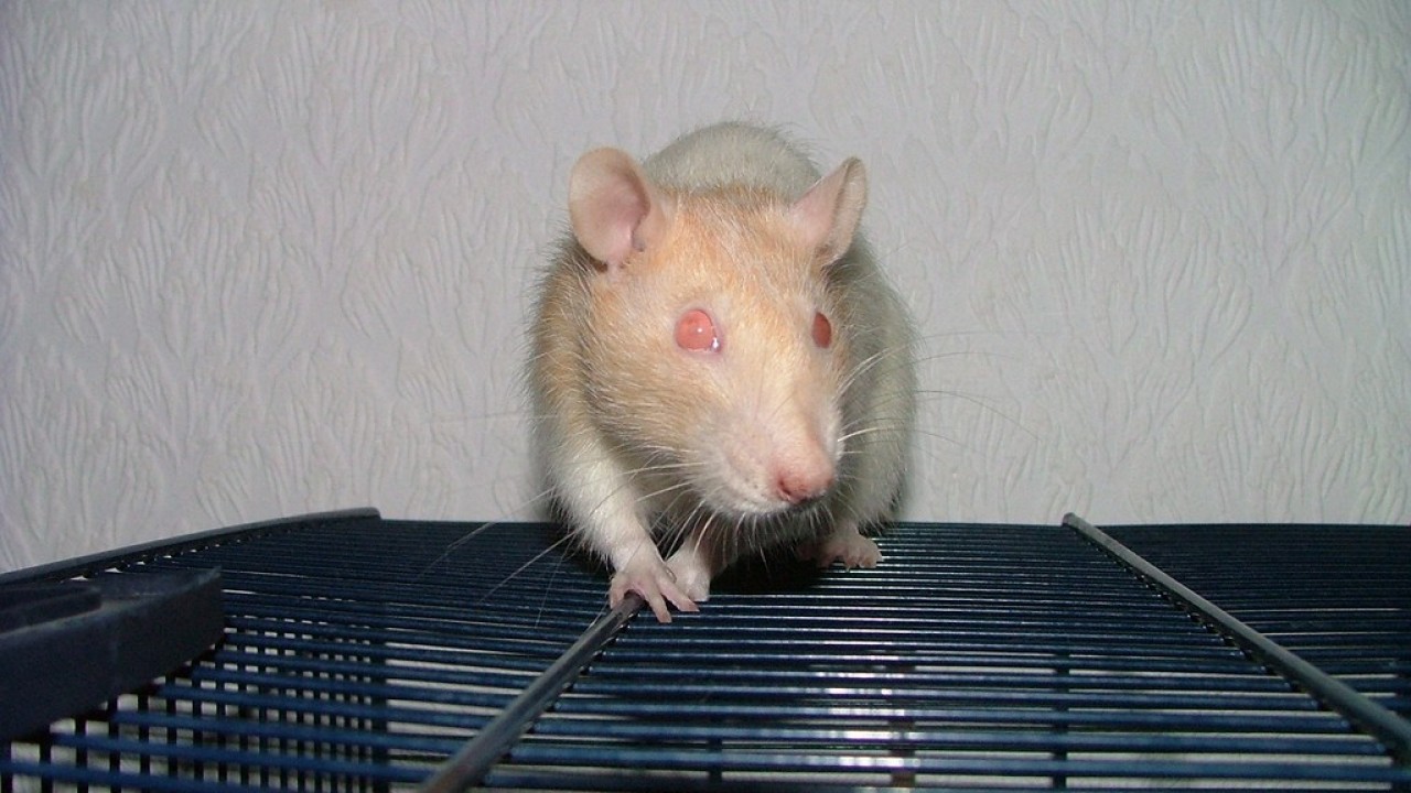 DSCF3680.JPG