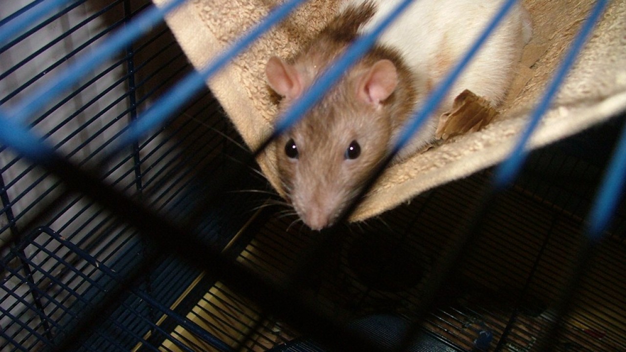 DSCF3714.JPG