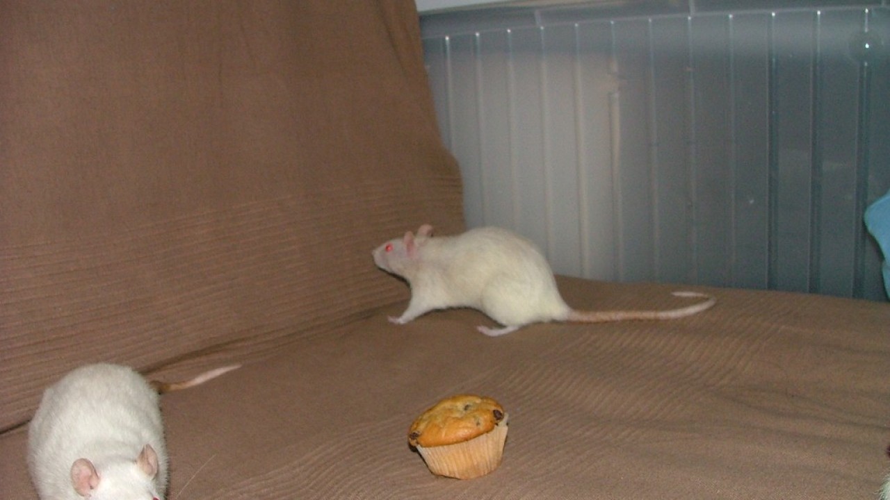 DSCF4735.JPG